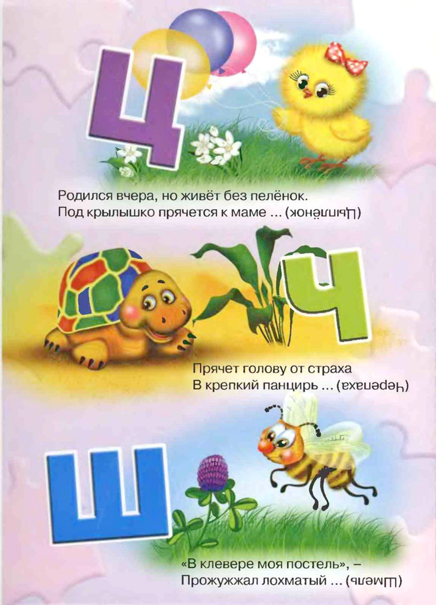 Загадки про букву Ц — изучаем русский алфавит