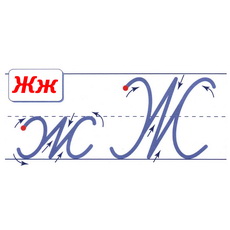 Чистописание буквы Ж русского алфавита